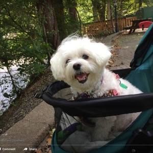 Meet your Posher, Linda